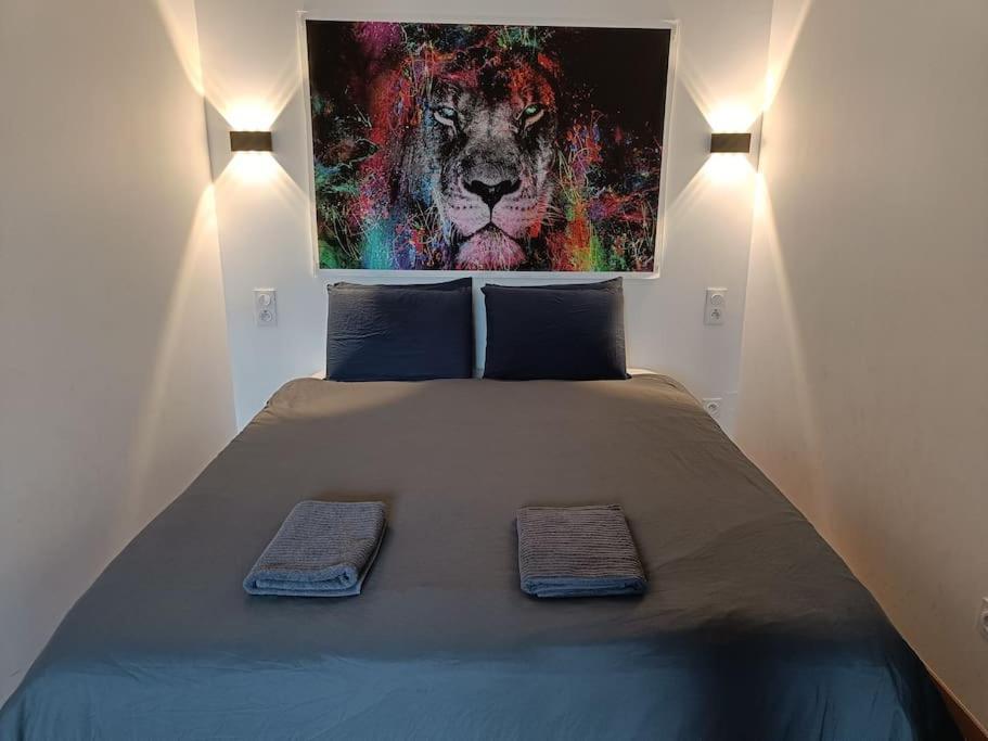 Appartement Confort Equipe Au Coeur De Безьє Екстер'єр фото